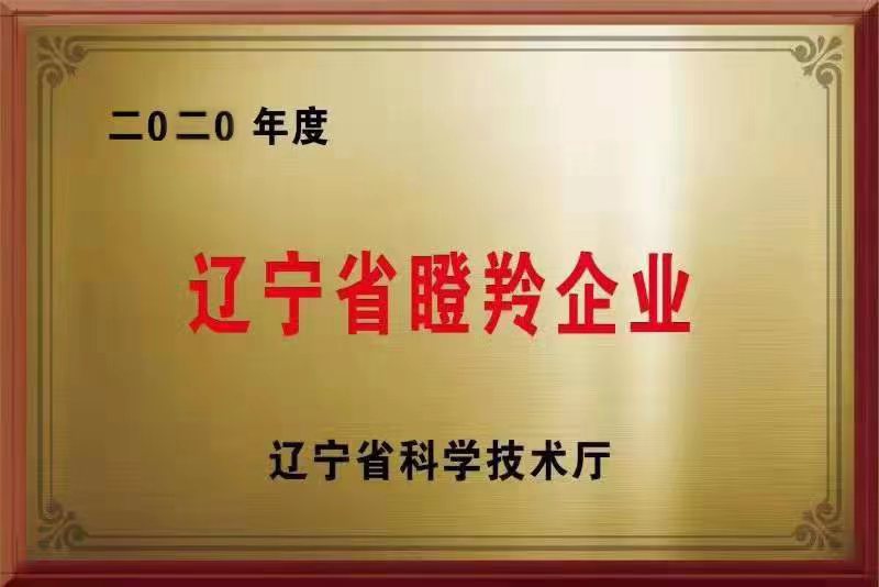 遼寧省瞪羚企業(yè)